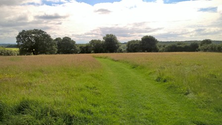 field walk